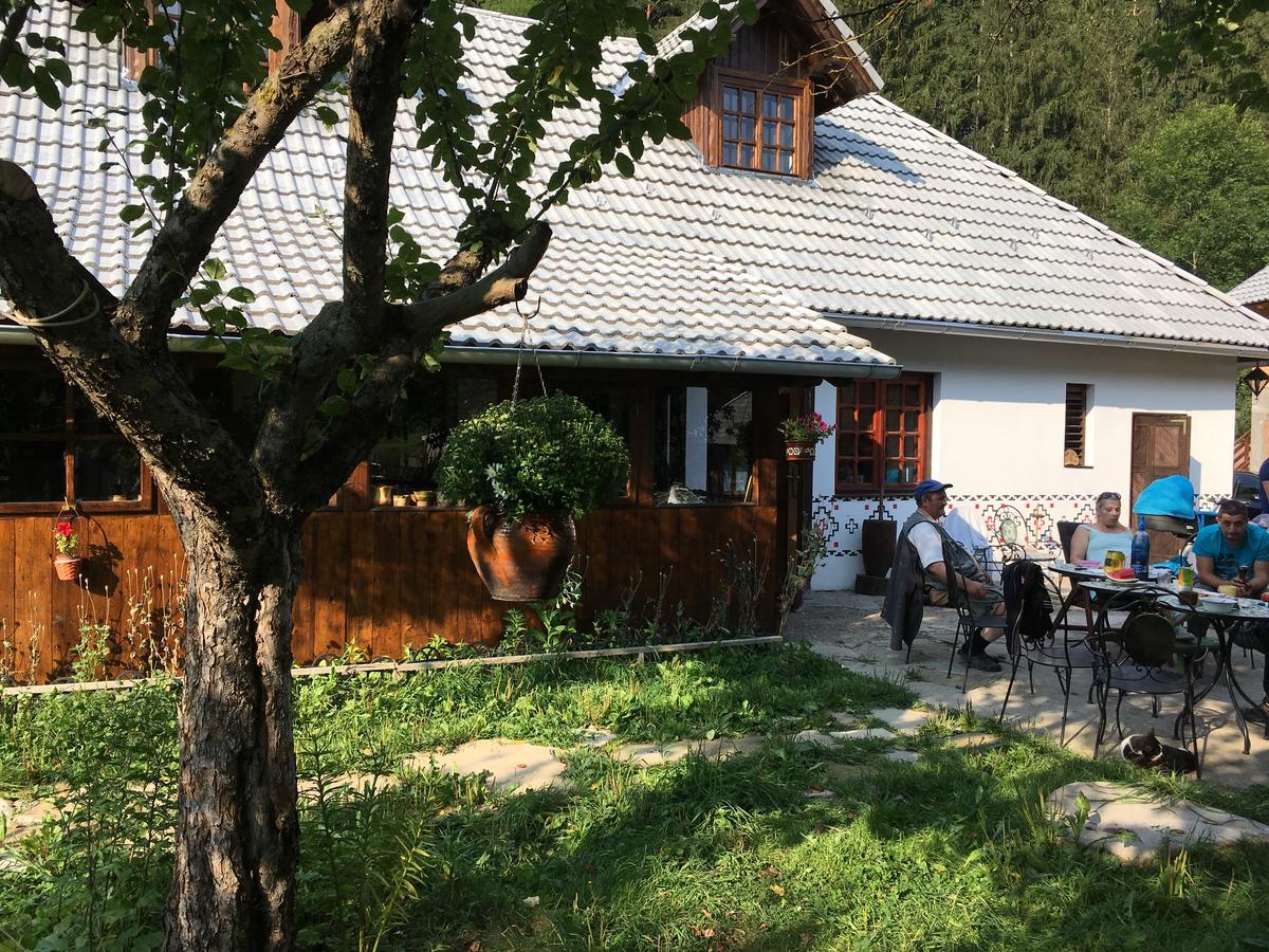Gospodaria Lui Nea Ion Vama Buzaului Exterior photo
