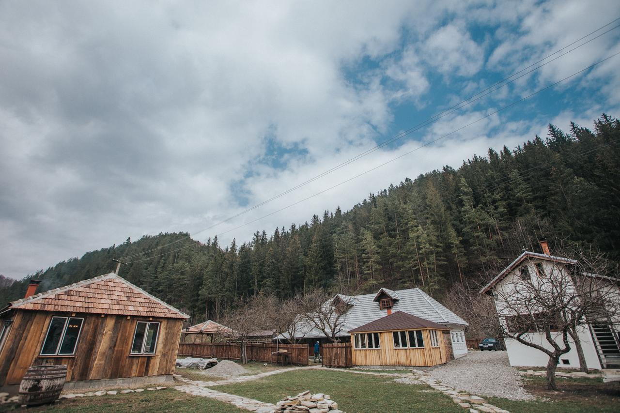 Gospodaria Lui Nea Ion Vama Buzaului Exterior photo