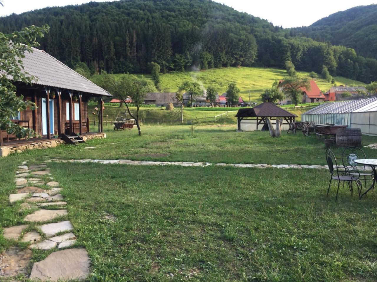 Gospodaria Lui Nea Ion Vama Buzaului Exterior photo