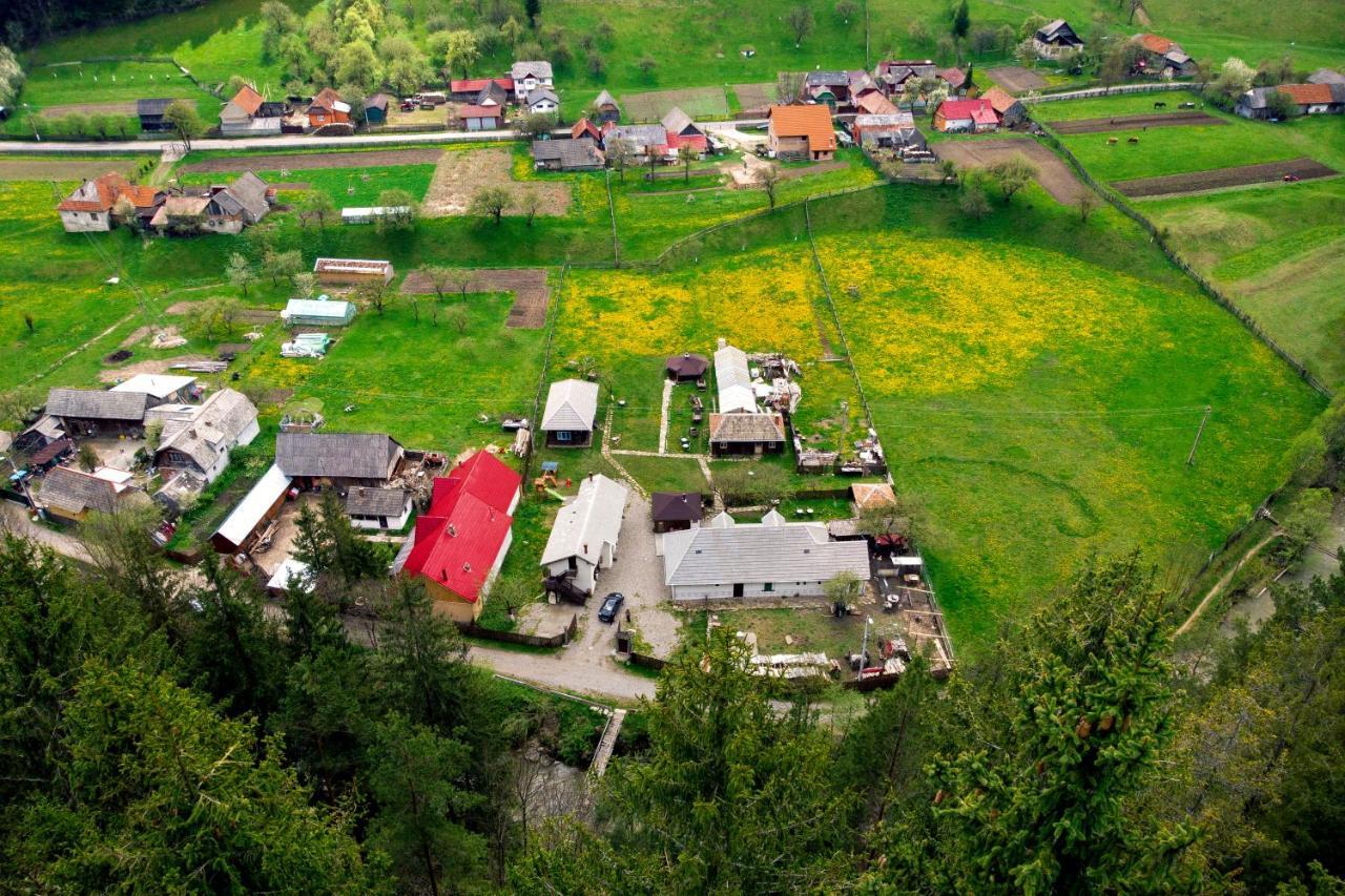 Gospodaria Lui Nea Ion Vama Buzaului Exterior photo